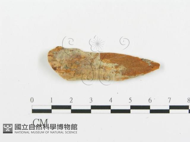 登錄號:F0016797藏品圖，第1張