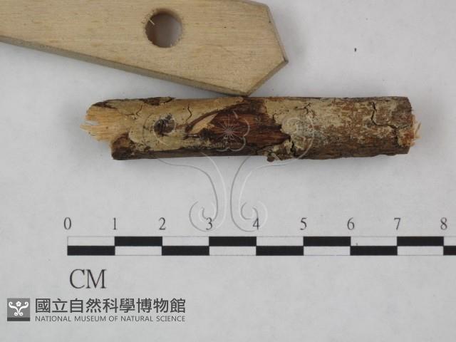 登錄號:F0021797藏品圖，第1張