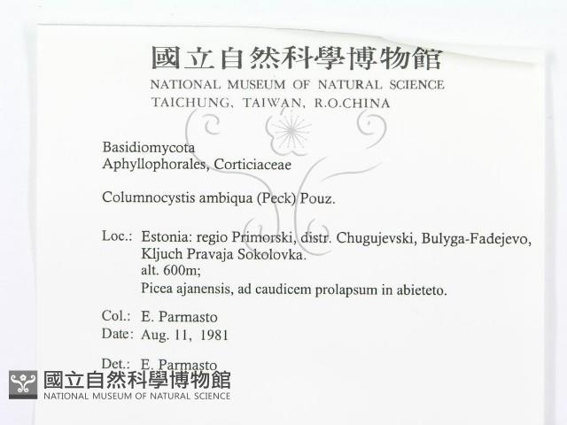 登錄號:F0015797藏品圖，第3張