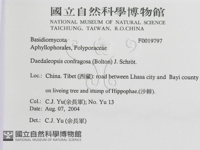 登錄號:F0019797藏品圖，第3張