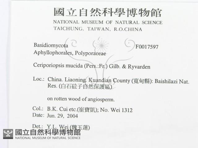 登錄號:F0017597藏品圖，第3張