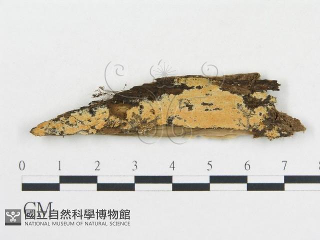 登錄號:F0008197藏品圖，第1張