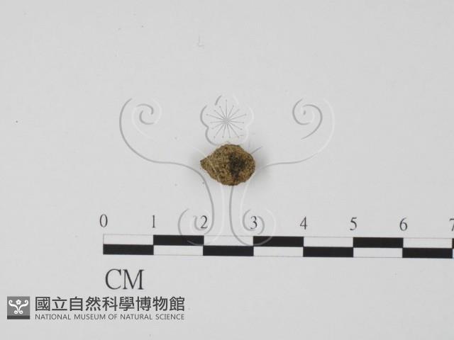 登錄號:F0000197藏品圖，第1張