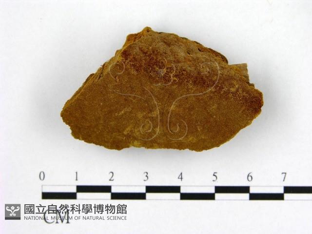 登錄號:F0006197藏品圖，第1張