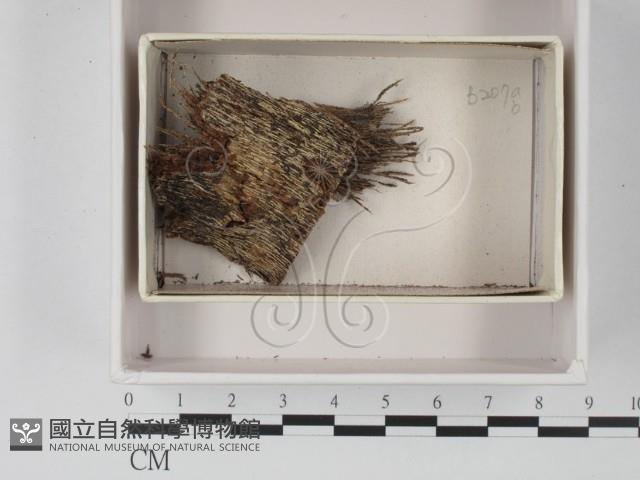 登錄號:F0021197藏品圖，第1張