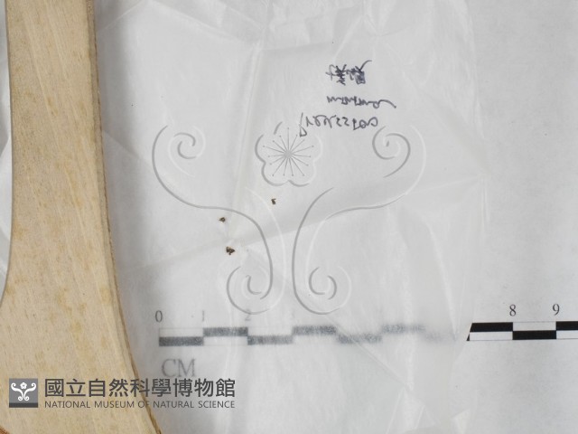 登錄號:F0023197藏品圖，第1張