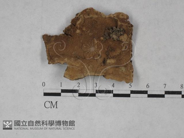 登錄號:F0020097藏品圖，第1張