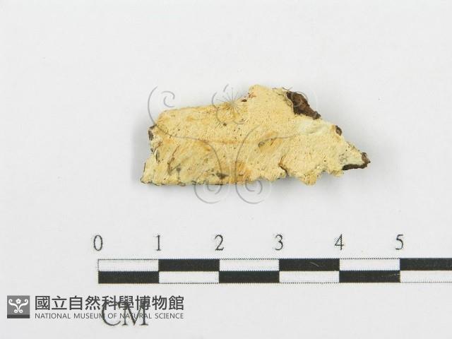 登錄號:F0006097藏品圖，第1張