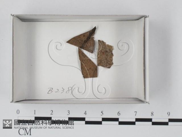 登錄號:F0019097藏品圖，第1張