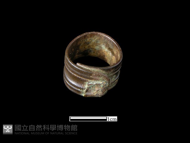 戒指藏品圖，第2張