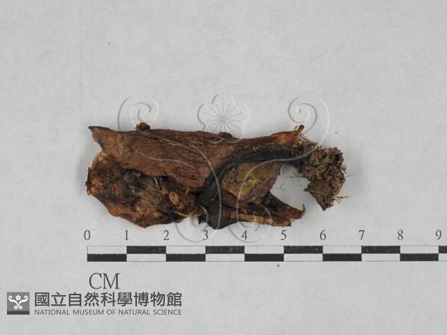 登錄號:F0028397藏品圖，第1張