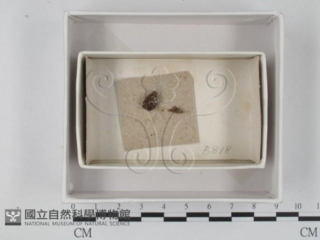 登錄號:F0018397藏品圖，第1張