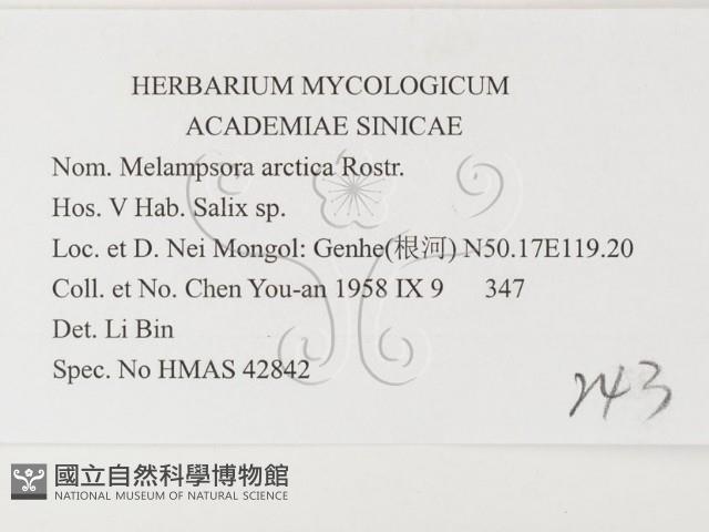 登錄號:F0026397藏品圖，第3張