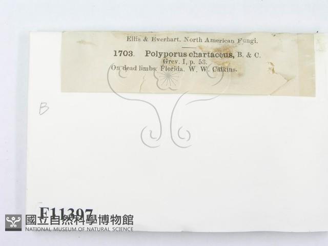 登錄號:F0011397藏品圖，第3張