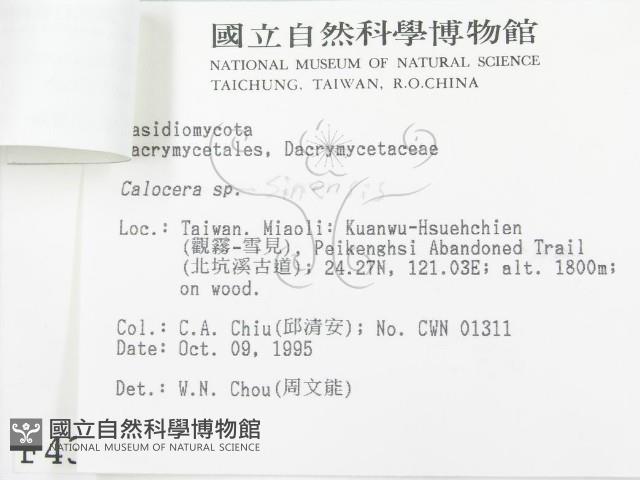 登錄號:F0004397藏品圖，第3張