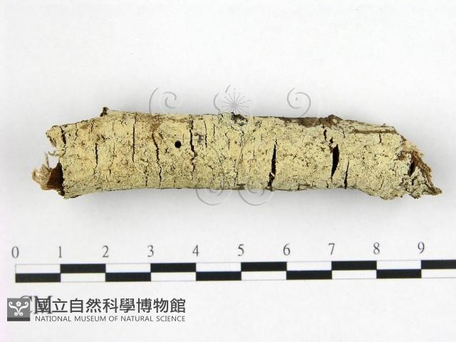 登錄號:F0022397藏品圖，第1張