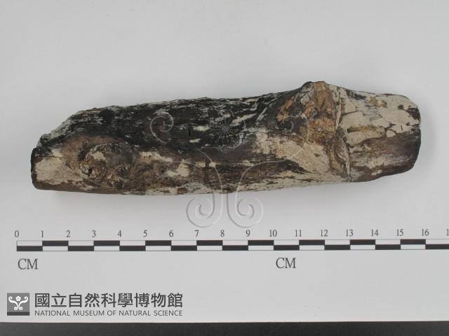 登錄號:F0002397藏品圖，第1張