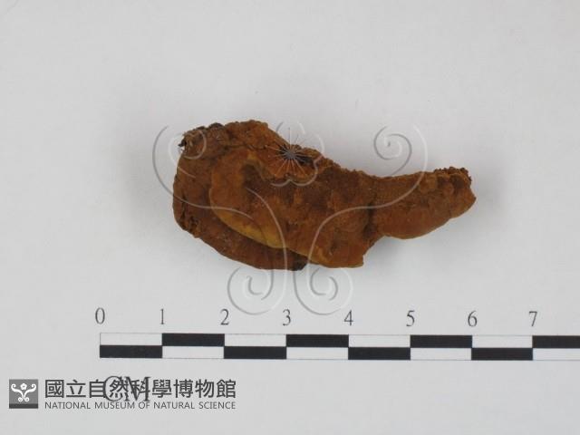 登錄號:F0009397藏品圖，第1張