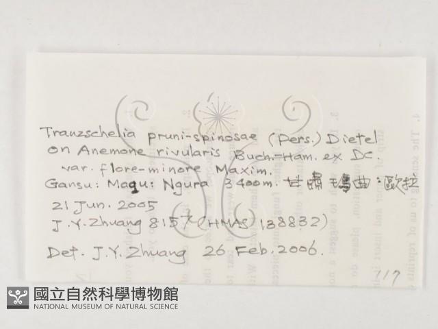 登錄號:F0026287藏品圖，第3張