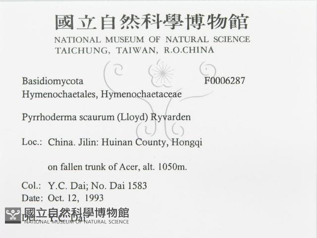 登錄號:F0006287藏品圖，第3張