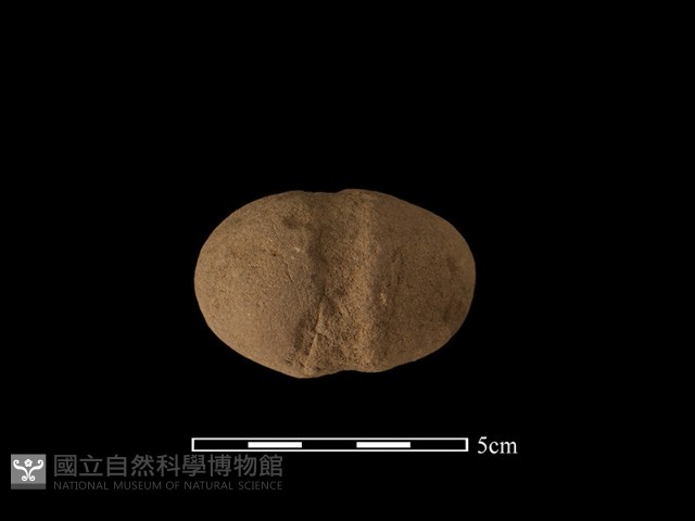 網墜藏品圖，第1張