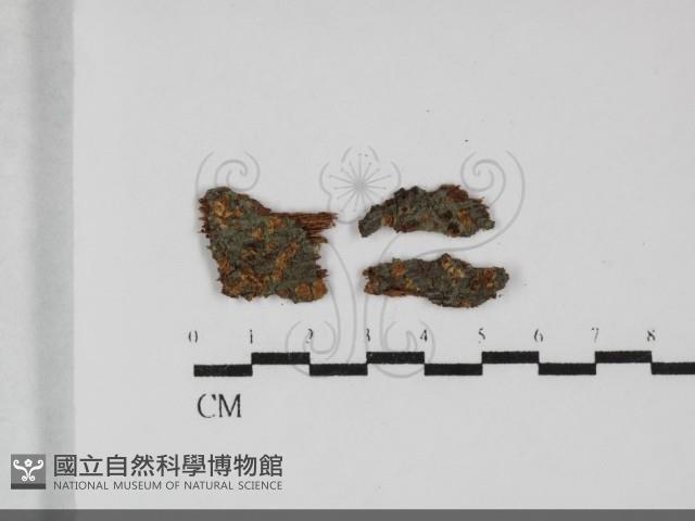 登錄號:F0032287藏品圖，第1張
