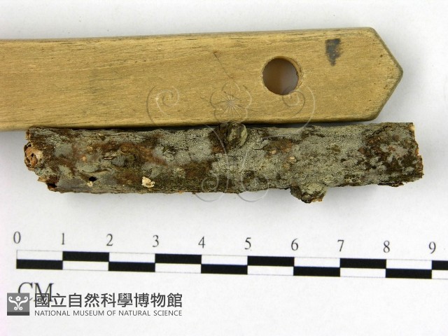 登錄號:F0009287藏品圖，第1張
