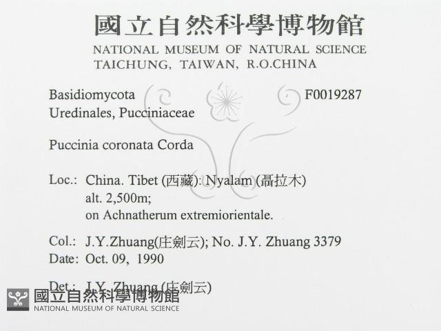 登錄號:F0019287藏品圖，第3張