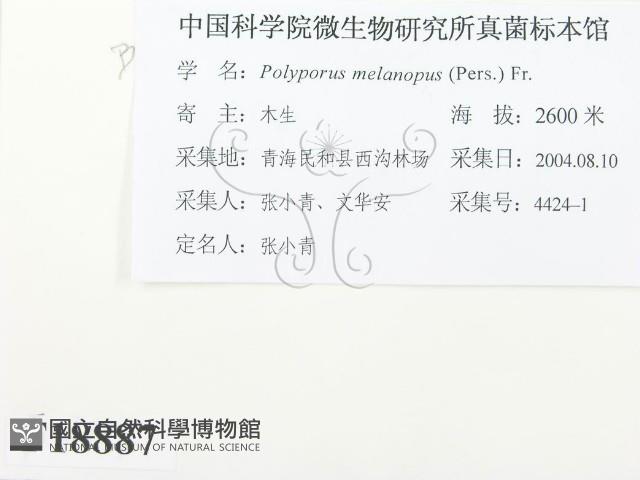 登錄號:F0018887藏品圖，第3張