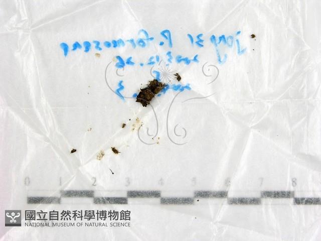 登錄號:F0016887藏品圖，第1張