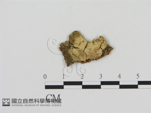 登錄號:F0002887藏品圖，第1張