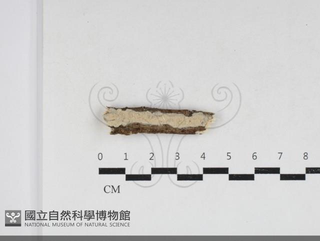 登錄號:F0033887藏品圖，第1張