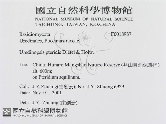 登錄號:F0018987藏品圖，第3張