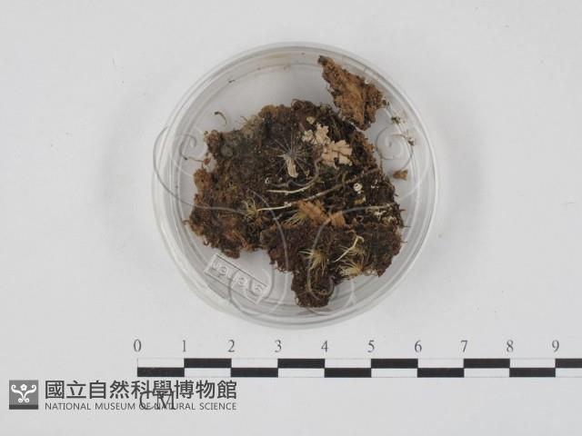 登錄號:F0000987藏品圖，第1張