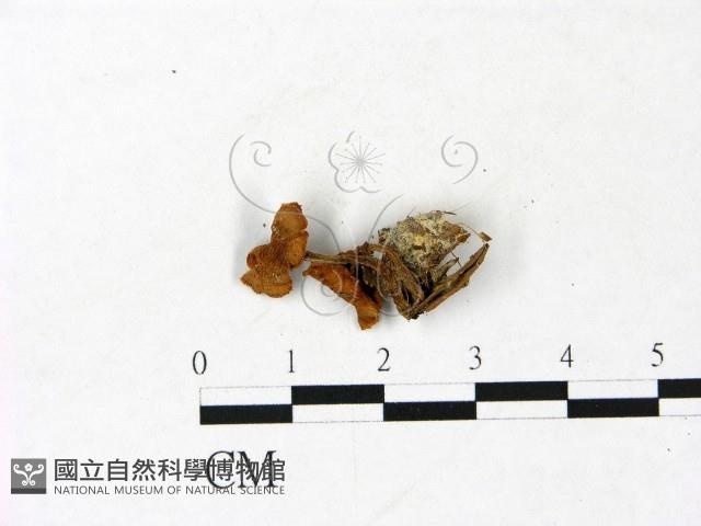 登錄號:F0022987藏品圖，第1張