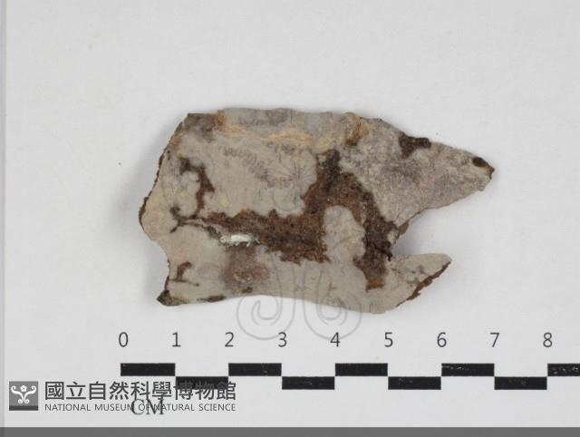 登錄號:F0033987藏品圖，第1張