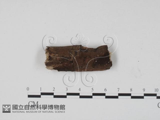 登錄號:F0008687藏品圖，第1張