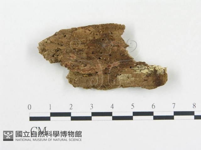 登錄號:F0006687藏品圖，第1張