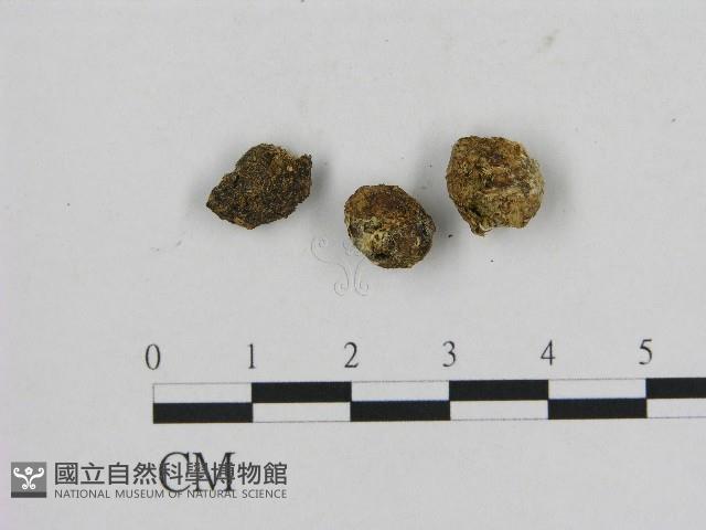 登錄號:F0004687藏品圖，第1張