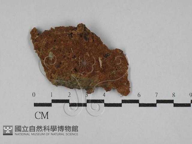 登錄號:F0029687藏品圖，第1張