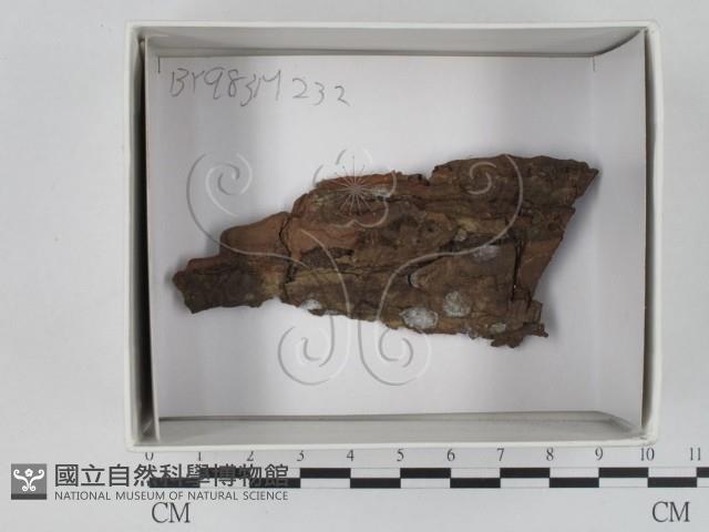 登錄號:F0018487藏品圖，第1張