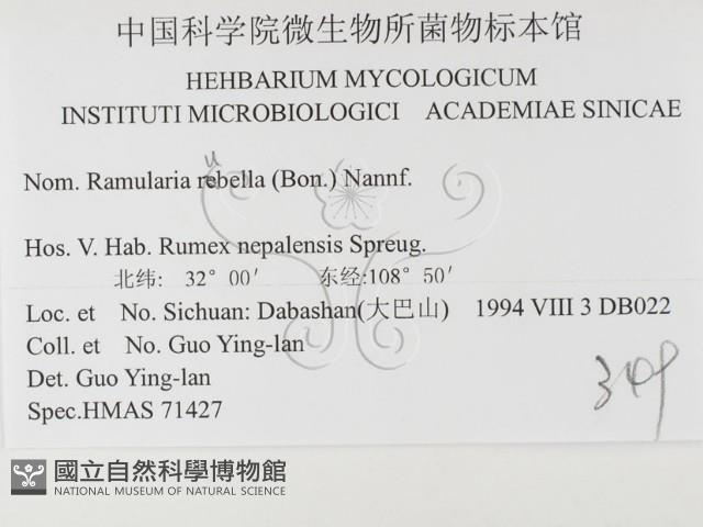 登錄號:F0026487藏品圖，第3張