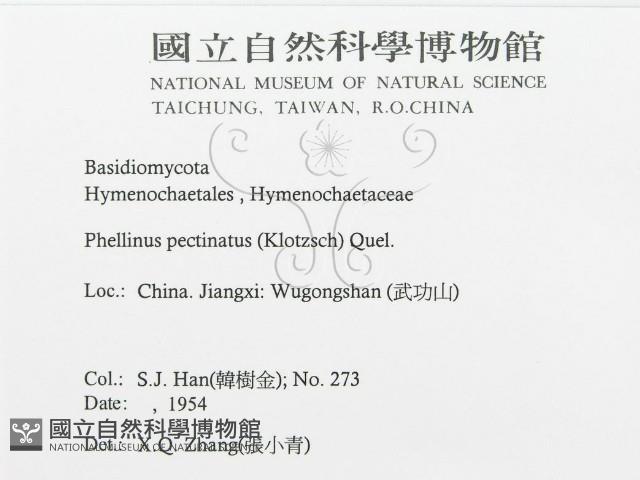登錄號:F0016487藏品圖，第3張