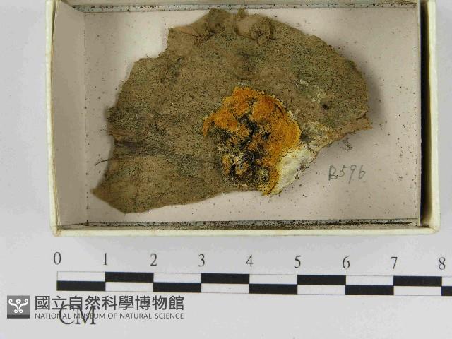 登錄號:F0021487藏品圖，第1張