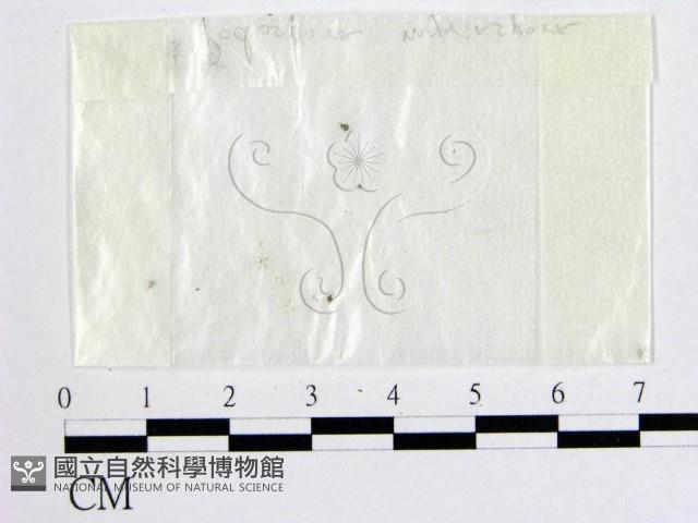 登錄號:F0002487藏品圖，第1張