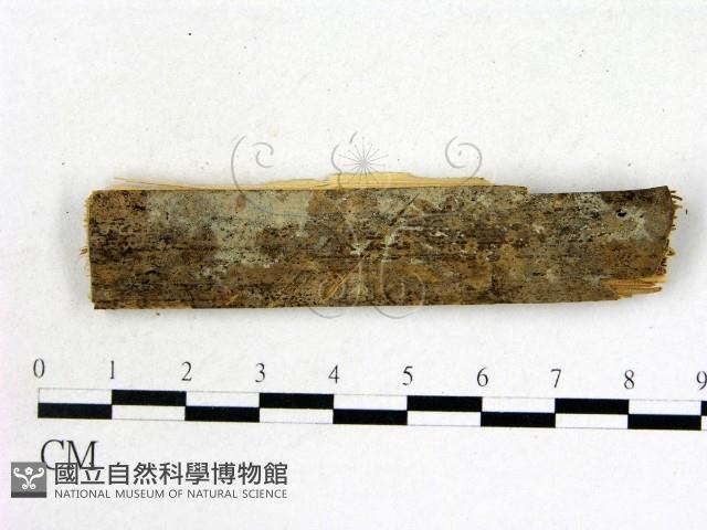 登錄號:F0002787藏品圖，第1張