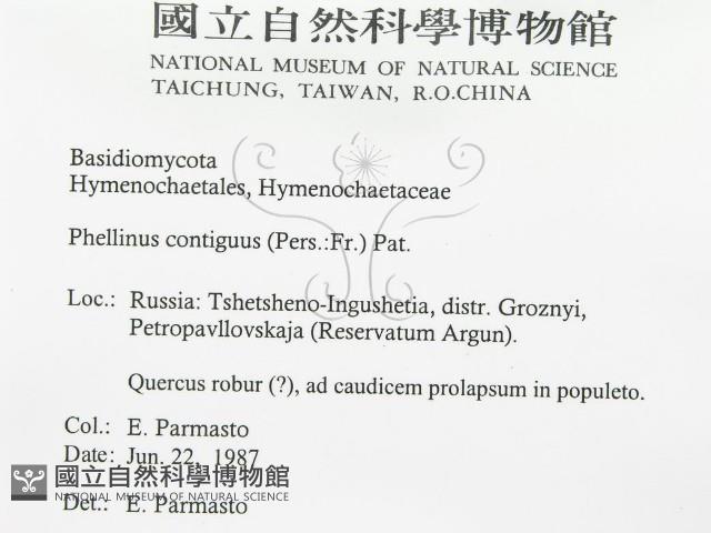 登錄號:F0015787藏品圖，第3張
