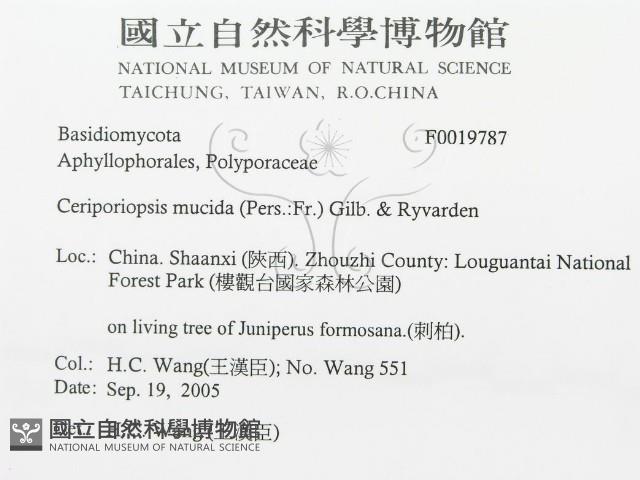 登錄號:F0019787藏品圖，第3張