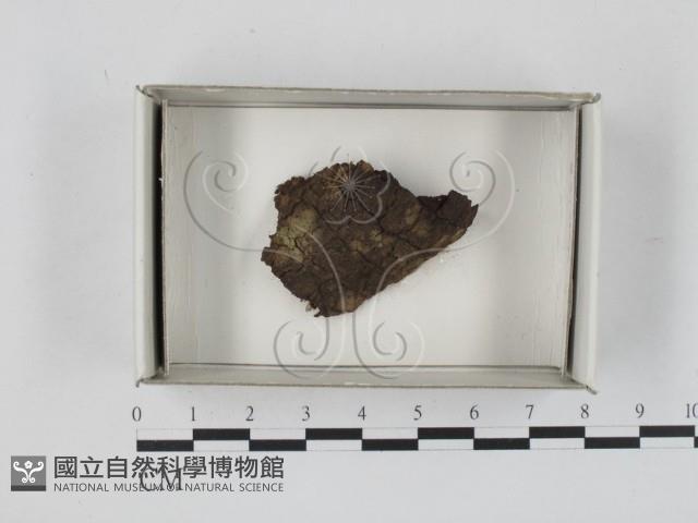 登錄號:F0018587藏品圖，第1張