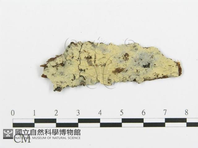 登錄號:F0016587藏品圖，第1張